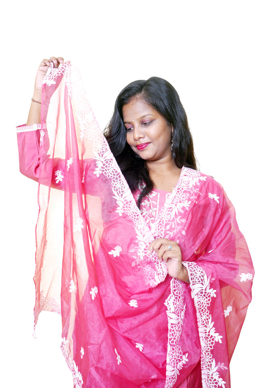 Inaya Roshanara Pink Embroidered Suit Set